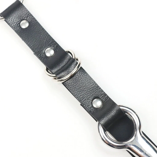 Anal Hooks with Leash Anal Kinky and Collar Hook EverydayUse 5853 0911